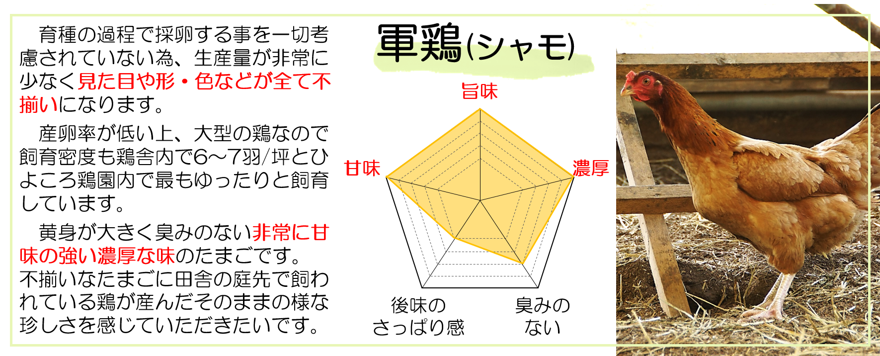 ◼️蔵から中国古銭と一緒の箱から出てきた5体の内の1体 鶏ニワトリ